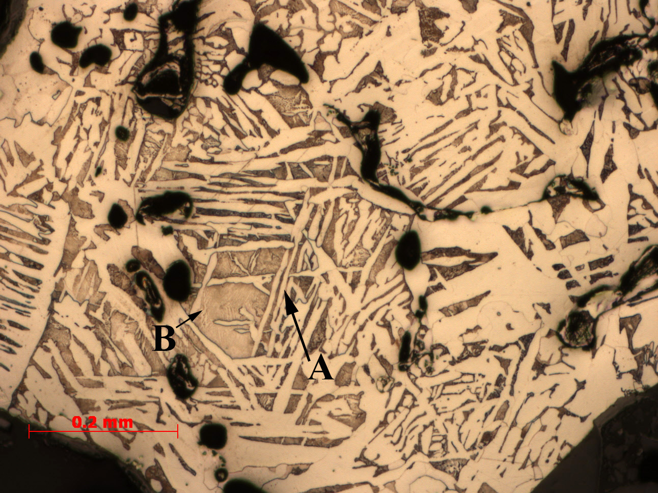 Eindhoven Smelt Report